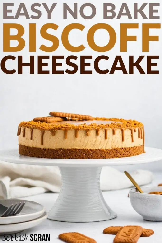 No Bake Lotus Biscoff Cheesecake Recipe Pin
